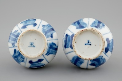 A pair of Chinese blue and white bottle shaped vases with long Elizas, Kangxi